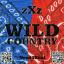 Artwork for Wild Country (Original Mix)