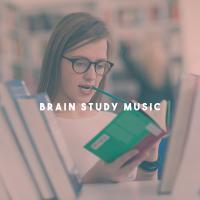 Artwork for Brain Study Music by Classical Study Music