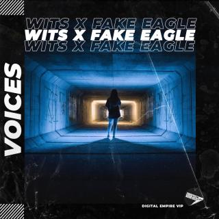 Artwork for Voices (Radio Edit)