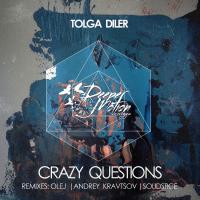 Artwork for Crazy Questions by Tolga Diler