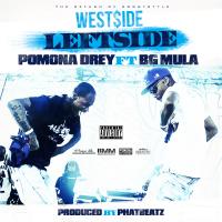 Artwork for Westside Leftside (feat. BG Mula) by Pomona Drey