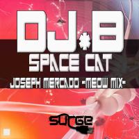 Artwork for Space Cat by DJ B