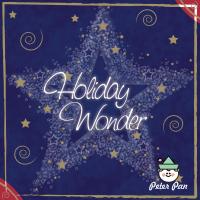 Artwork for Holiday Wonder by Twin Sisters