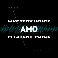 Artwork for Mystery Voice by AMO