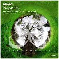 Artwork for Perpetuity by Abide