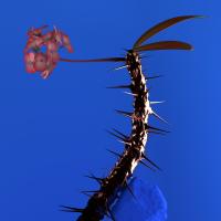 Artwork for Hyperreal by Flume