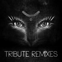 Artwork for Tribute Remixes by Yoji Biomehanika