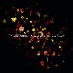 Artwork for "Disaster Button" by Snow Patrol