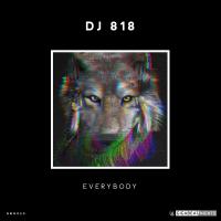 Artwork for Everybody by DJ 818