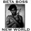 Artwork for New World