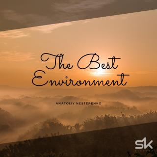 Artwork for The Best Environment (Original Mix)