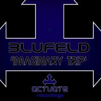 Artwork for Imaginary Trip by Blufeld