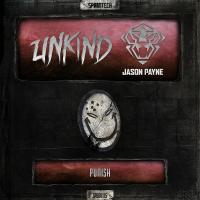 Artwork for Punish by Unkind