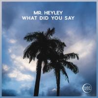 Artwork for What Did You Say by Mr. Heyley