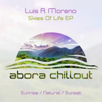 Artwork for Skies Of Life EP by Luis A. Moreno