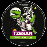 Artwork for Just Don't Lie by Tzesar