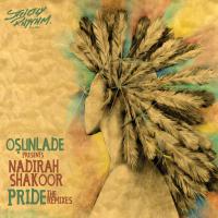 Artwork for Pride by Osunlade