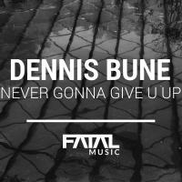 Artwork for Never Gonna Give U Up by Dennis Bune