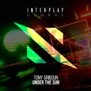Artwork for Under The Sun