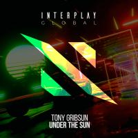 Artwork for Under The Sun by Tony Gribsun