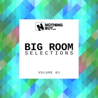 Artwork for Nothing But... Big Room Selections, Vol. 01 by Various Artists