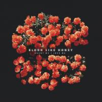 Artwork for Haunt Me / Love Me by Blood Like Honey