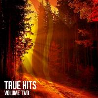 Artwork for True Hits, Vol. 2 by Various Artists