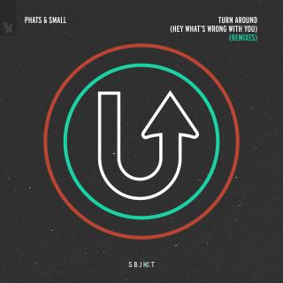 Artwork for Turn Around (Hey What's Wrong With You)