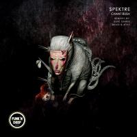 Artwork for Chant Rush by Spektre