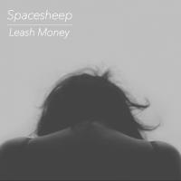 Artwork for Leash Money by Spachesheep