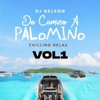 Artwork for De Camino A Palomino, Vol. 1 by DJ Nelson