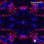 Artwork for Epidemic (Original Mix)