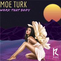 Artwork for Work That Body by Moe Turk