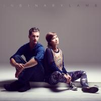 Artwork for In Binary by Lamb