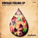 Artwork for Vintage Feeling (Original Mix)