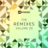 Artwork for The Remixes, Vol. 25 by Various Artists