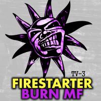 Artwork for Burn MF by Firestarter