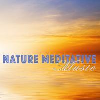 Artwork for Nature Meditative Music by Massage Tribe