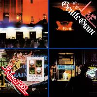 Artwork for Playing the Fool - the Complete Live Experience by Gentle Giant