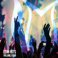 Artwork for EDM Hits, Vol. 4 by Various Artists