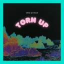 Artwork for Torn Up