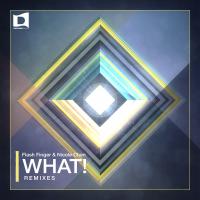 Artwork for What! Remixes by Flash Finger