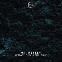 Artwork for What Did You Say by Mr. Heyley