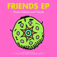 Artwork for Friends EP by Andre Salmon