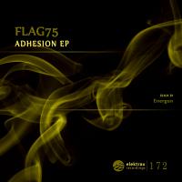 Artwork for Adhesion EP by Flag75