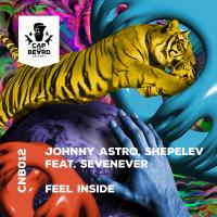 Artwork for Feel Inside by Johnny Astro