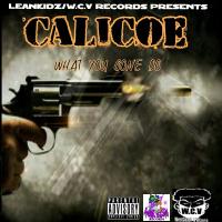 Artwork for What You Gone Do by Calicoe