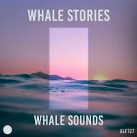 Artwork for Whale Stories by Whale Sounds