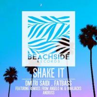 Artwork for Shake It by Dmitri Saidi