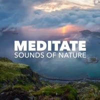 Artwork for Meditate by Sounds Of Nature